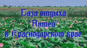 База отдыха «Антей» в Краснодарском крае