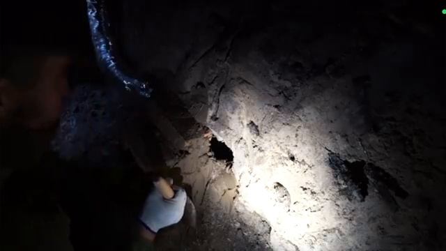 Живу в Чернобыле в доме под землёй.Построил печь в землянке.Выживание в лесу (Влад Резнов) реакция