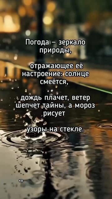 #мысли #цитаты #katyboro #афоризмы #топ #рек #shortvideo #short #shorts #viralshort #умныемысли