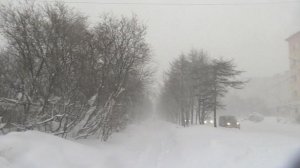 В Пензенской области объявили режим повышенной готовности из-за непогоды