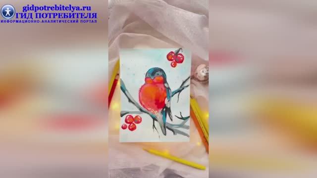 Как нарисовать снегиря красками