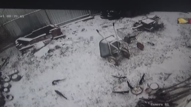 Снег пошел, сороки прилетели в столовую ПОДПИШИСЬ