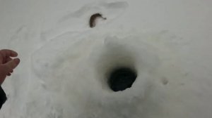 Язь щука окунь на реке Етыпур