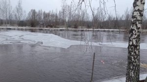 обзор 1-го Га водоёма РК "Фишка" Петряиха