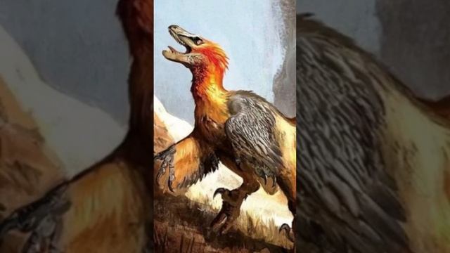 Обзор на раптора и других подвидов!!!