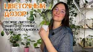 Цветочный дозор. Свежие листики, мини перестановка и другие изменения.