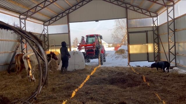 Предновогодние Хлопоты... Сделала себе Подарок! | Молодая Ферма