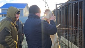 Первый щенок уехал