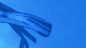 Дайвинг в темноте