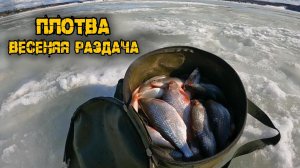 Весенняя раздача плотвы, клевала как сумасшедшая, р.Чусовая