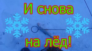 И снова на лёд!🦈🐠❄️