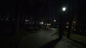 Тула.Платоновский парк.Вечер