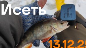 Исеть 13.12.25.Обошёл весь пруд,редкие поклёвки.