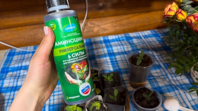 Оформляем кредит и будем развиваться дальше! Скоро приедет новое оборудование для молочного цеха! смотреть онлайн