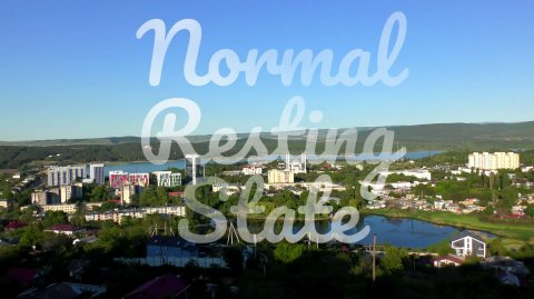 Normal resting state