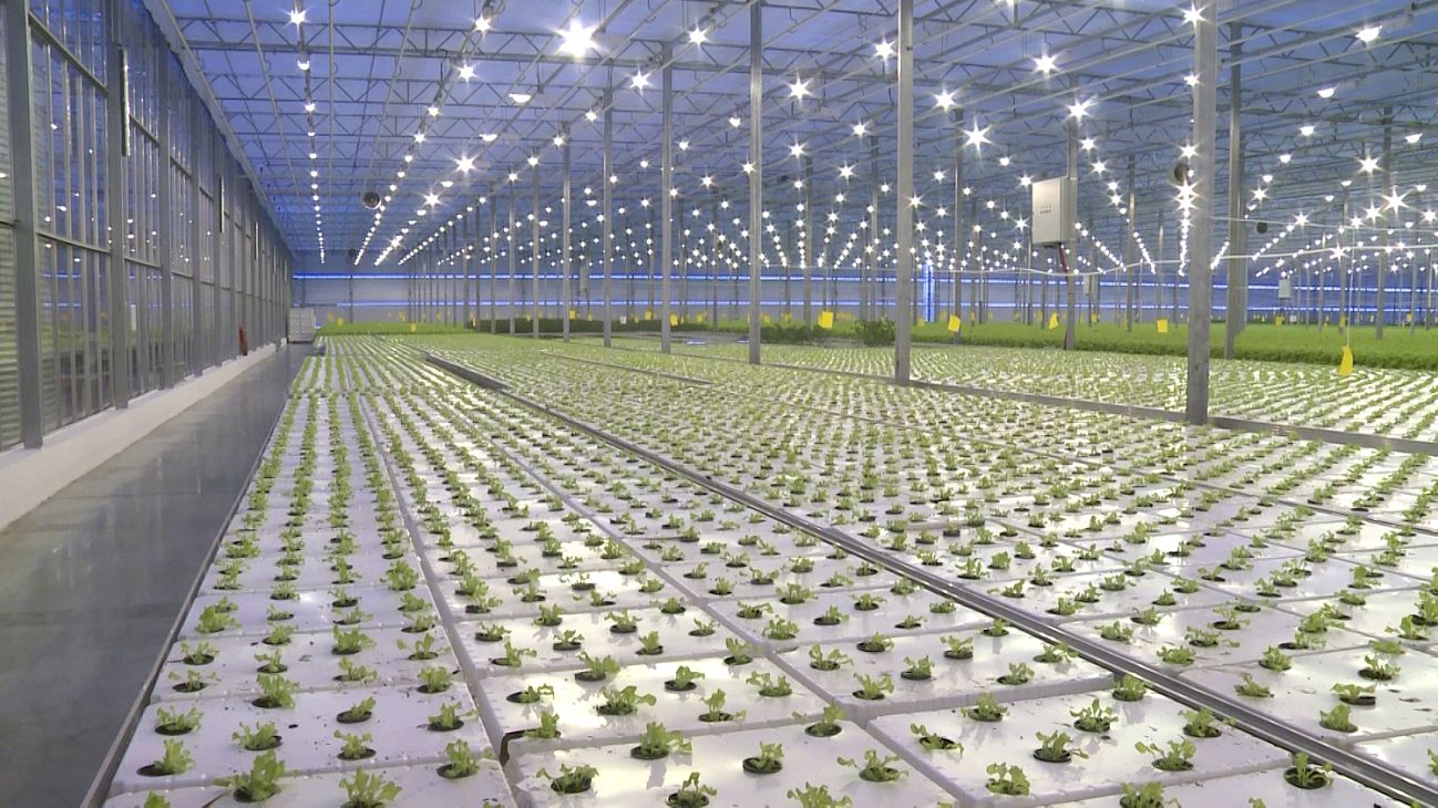 Сибирские ученые передают агрономам новые методы и средства защиты растений