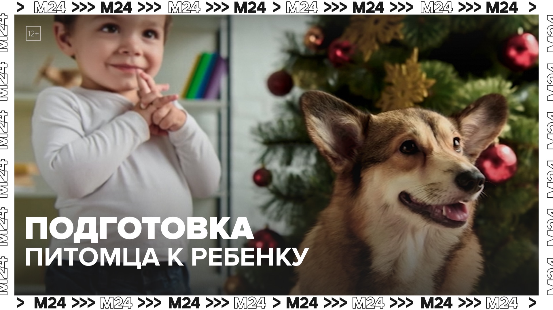 Как подготовить питомца к появлению ребенка в семье? — Москва 24