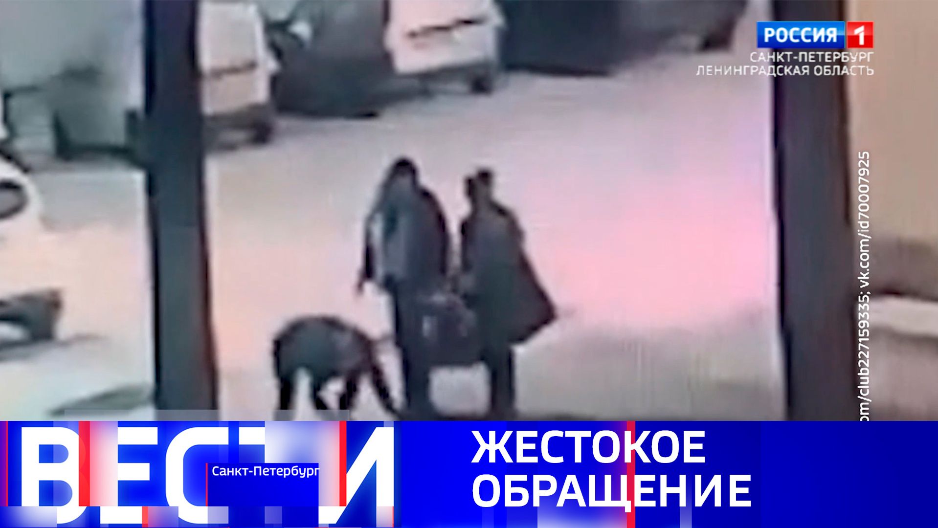 Вести Санкт-Петербург. Выпуск 08.00 от 13.12.2025