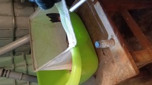 Инкубация икры карпа