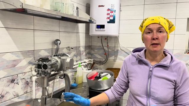 Результаты УЗИ Стеллы. Работаем в сыроварне! | Молодая Ферма