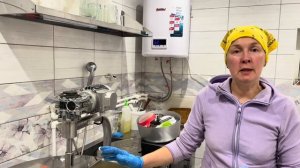 Результаты УЗИ Стеллы. Работаем в сыроварне! | Молодая Ферма