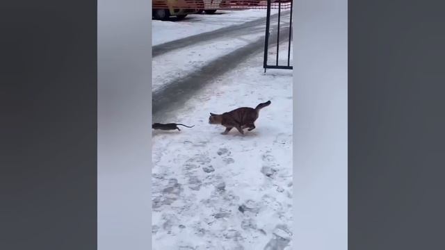 Для настроения 3