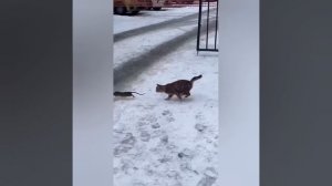 Для настроения 3