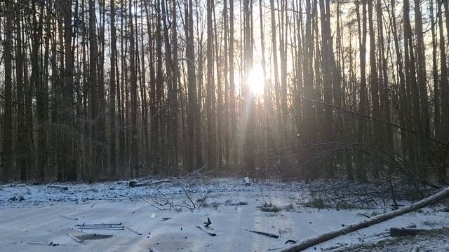 зима декабрь 2025 год