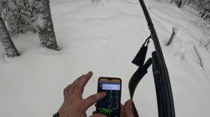 Охота с гончим на зайца