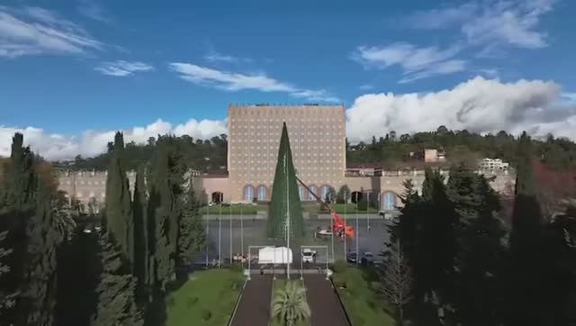 Главная ёлка Абхазии с высоты птичьего полёта