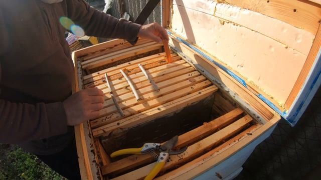 Собираем пчел в зиму