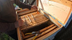 Собираем пчел в зиму