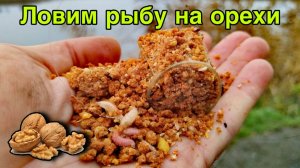 ФИДЕР в середине ДЕКАБРЯ!! Был и БОНУС!! #рыбалка #фидер #форель #блесна #флэтфидер #спиннинг