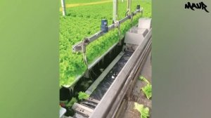 Залипательное Производство и Станки Совершенно Нового Уровня