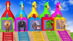 Веселые игры с слоном, гориллой, бегемотом, тигром - 3D игра с животными - Забавные 3D животные