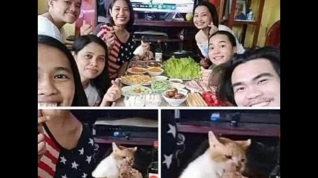 Смешное видео