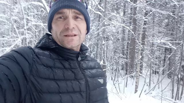 Зимняя сказка в лесу на лыжах . морозная утро наступает . зима 2025 год