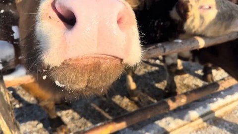 Наш отдых в курортном комплексе «Тайны Юронги»! Увлекательное путешествие в Нижегородскую область!