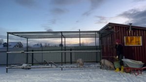 Мое утро в деревне! Как я справляюсь с огромным хозяйством? | Молодая Ферма