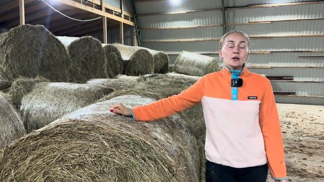 Совсем непростой сенокос 2025! Кормозаготовка в самом разгаре! Сломалась прям на трассе! смотреть онлайн