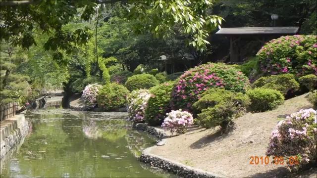 Гитарная музыкаNo81@TheLonelyBand