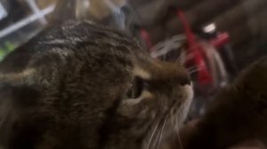 Закупаем оборудование на ферму. Из новичков -в профессионалы. Птичий дом! Молодая Ферма