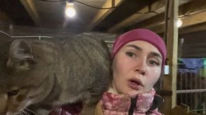 История Барсика. Итоги выставки с Крузом! | Молодая Ферма