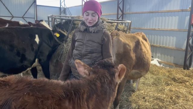 Куда столько кормов?! Приезд и помощь Главы Семейства! | Молодая Ферма