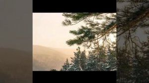 РИТУАЛЫ ПОМОГАЮТ ВЫЖИТЬ... люди говорят