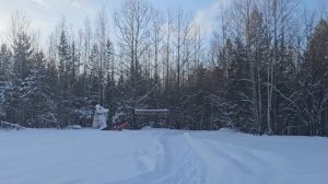 я ДОВОЛЬНАЯ и СЧАСТЛИВАЯ/ прогулка по ЗИМНЕМУ лесу