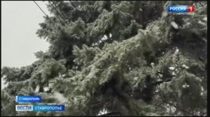 Вести. Ставропольский край» 13.12.2025 (20.50)