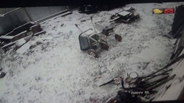 Луковая подкормка полезна, будет и каша        ПОДПИШИСЬ