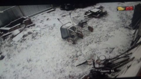 Луковая подкормка полезна, будет и каша ПОДПИШИСЬ