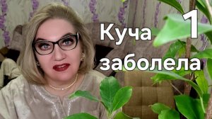 Куча заболела